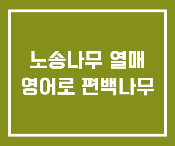 노송나무 열매 영어로 편백나무
