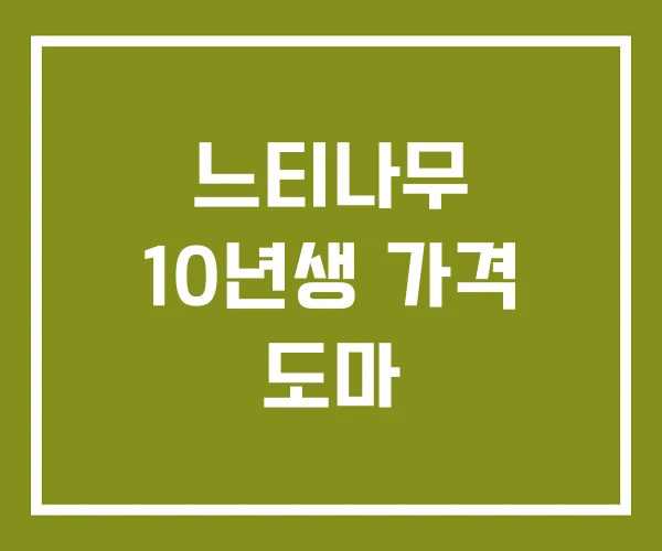 느티나무 10년생 가격 도마