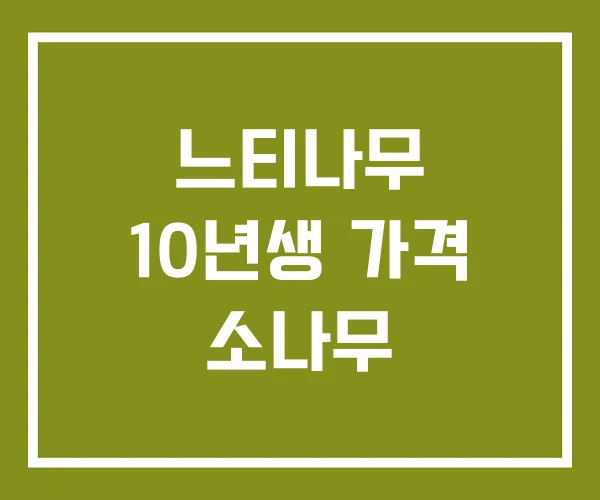 느티나무 10년생 가격 소나무