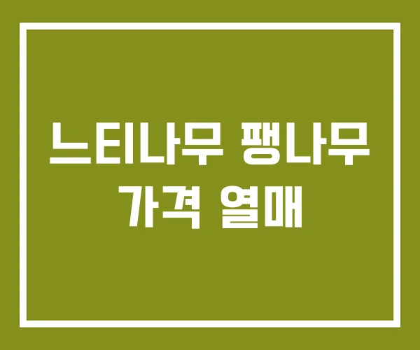 느티나무 팽나무 가격 열매
