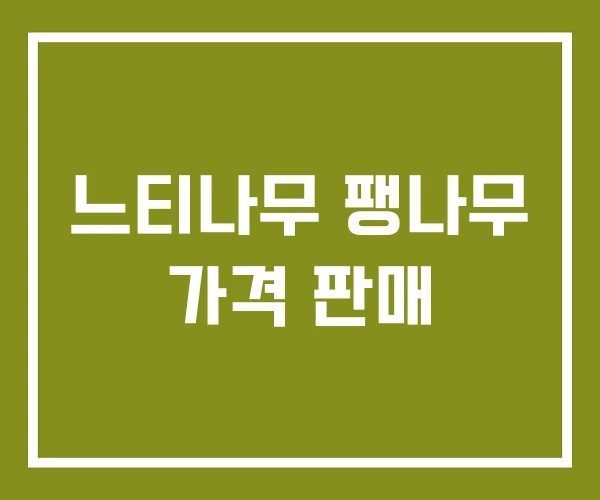 느티나무 팽나무 가격 판매