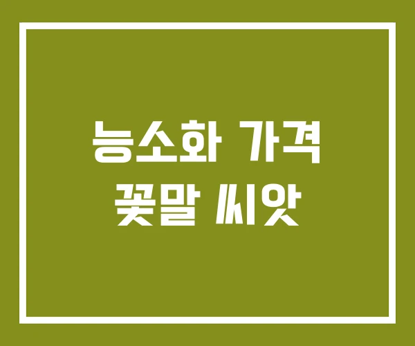 능소화 가격 꽃말 씨앗