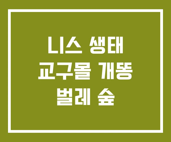 니스 생태 교구몰 개똥 벌레 숲