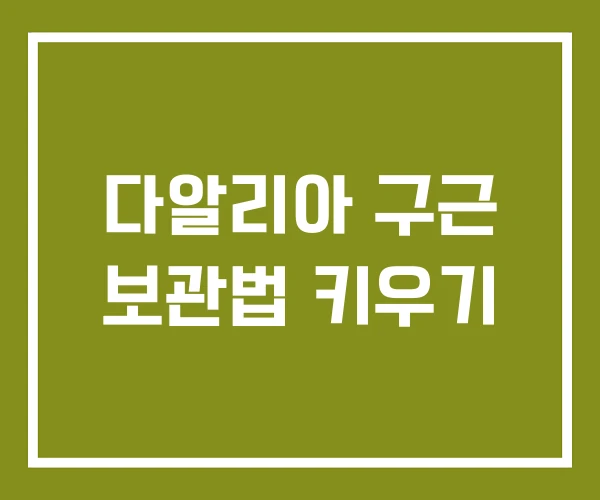 다알리아 구근 보관법 키우기