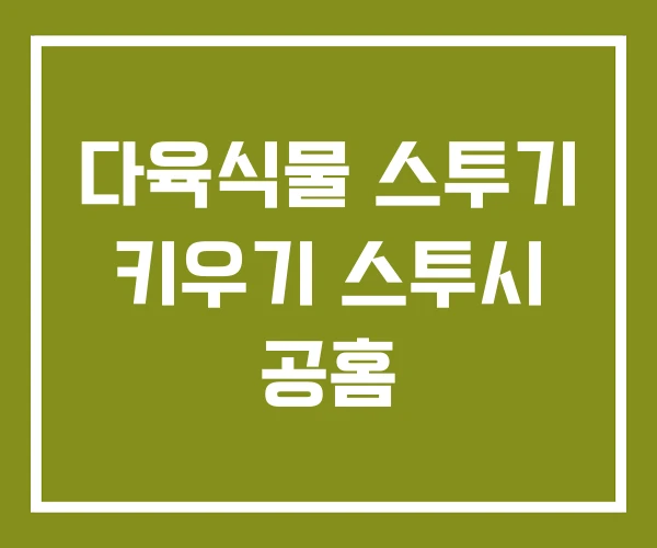 다육식물 스투기 키우기 스투시 공홈