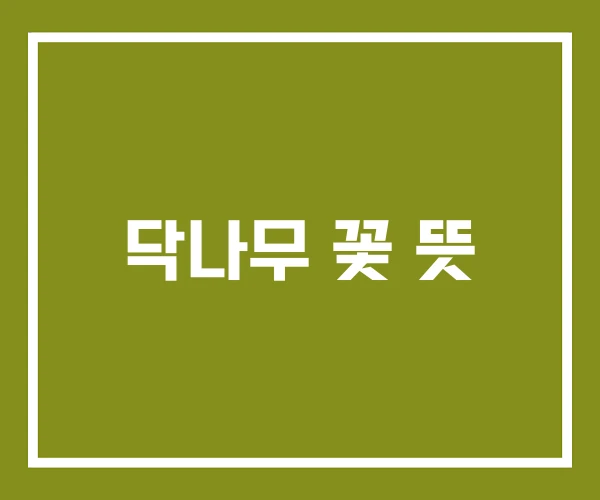 닥나무 꽃 뜻