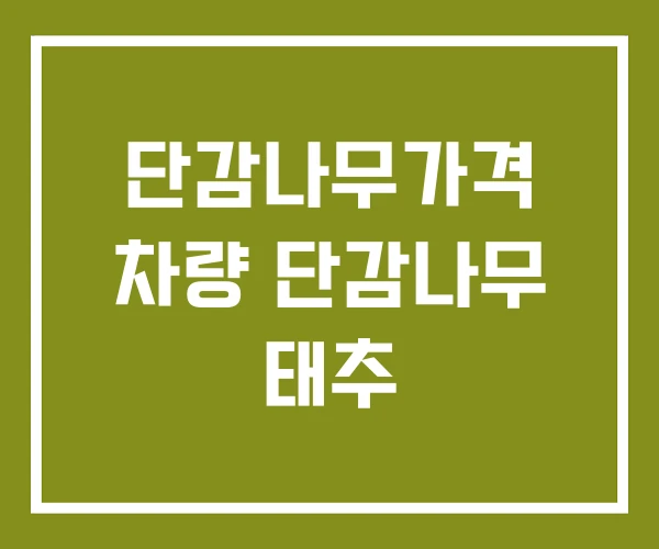 단감나무가격 차량 단감나무 태추