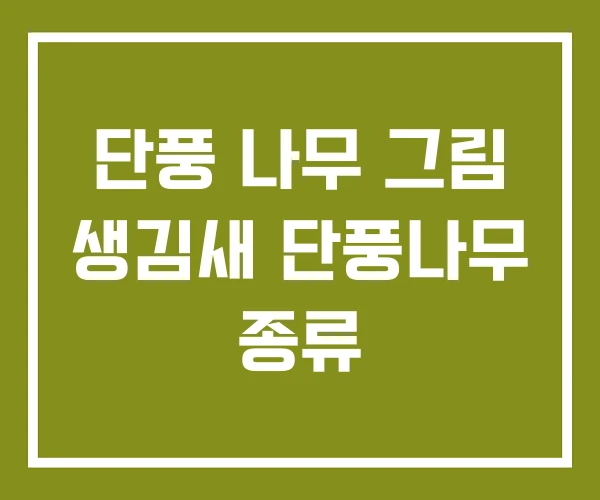 단풍 나무 그림 생김새 단풍나무 종류