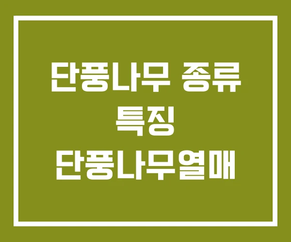 단풍나무 종류 특징 단풍나무열매