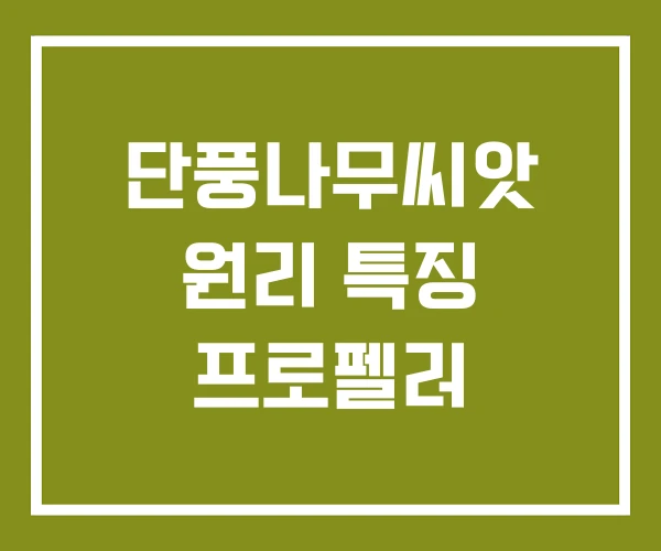 단풍나무씨앗 원리 특징 프로펠러