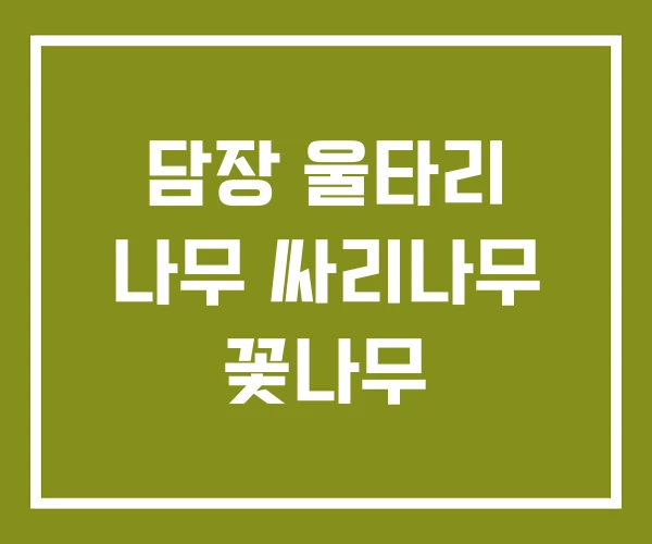 담장 울타리 나무 싸리나무 꽃나무
