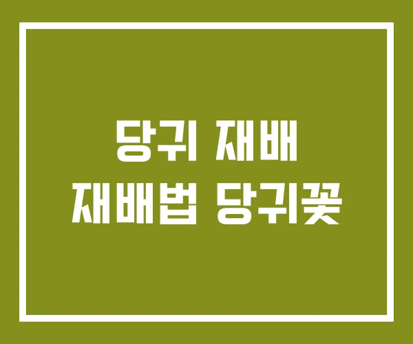 당귀 재배 재배법 당귀꽃