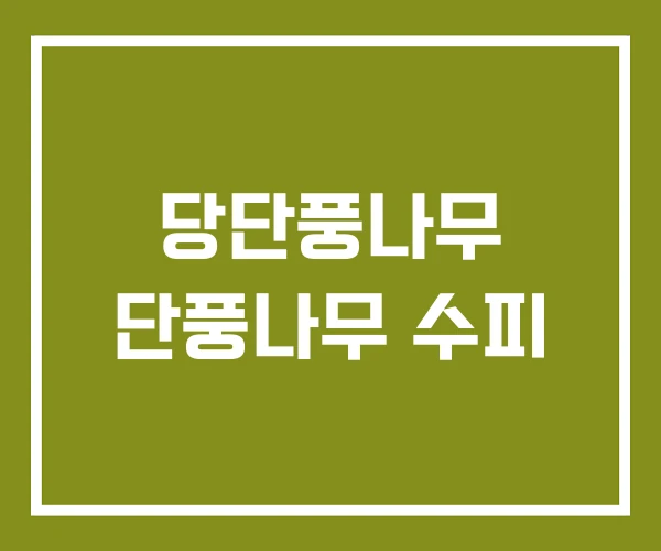 당단풍나무 단풍나무 수피