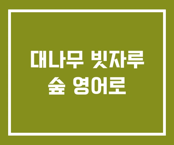 대나무 빗자루 숲 영어로