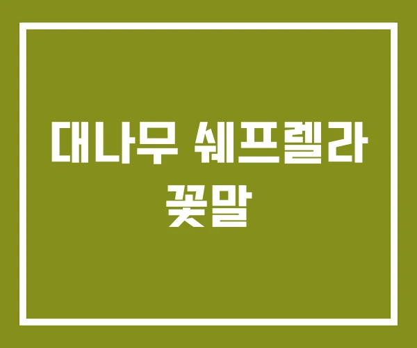 대나무 쉐프렐라 꽃말