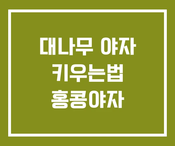 대나무 야자 키우는법 홍콩야자