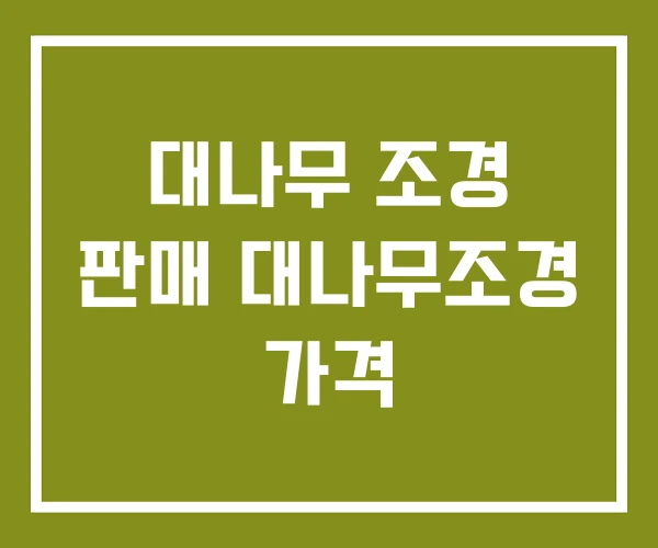 대나무 조경 판매 대나무조경 가격