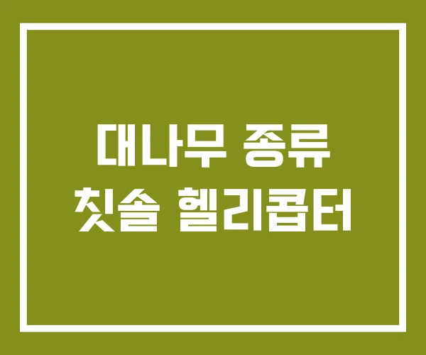 대나무 종류 칫솔 헬리콥터
