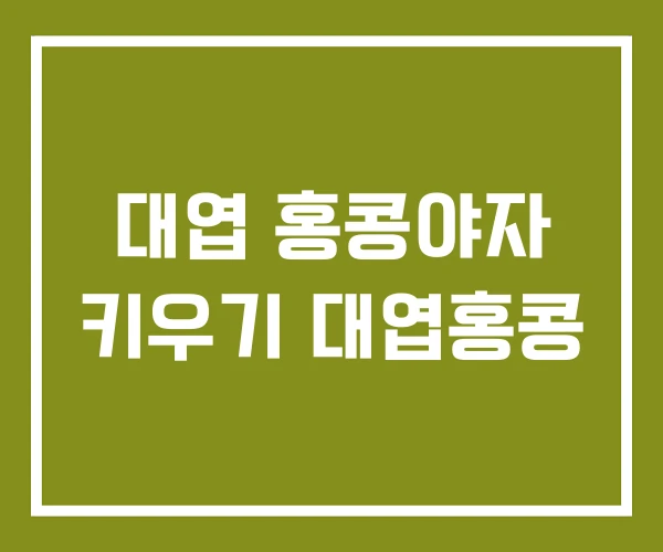 대엽 홍콩야자 키우기 대엽홍콩