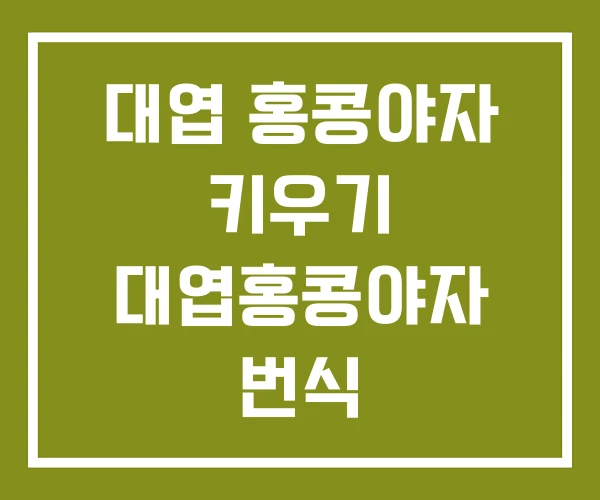 대엽 홍콩야자 키우기 대엽홍콩야자 번식