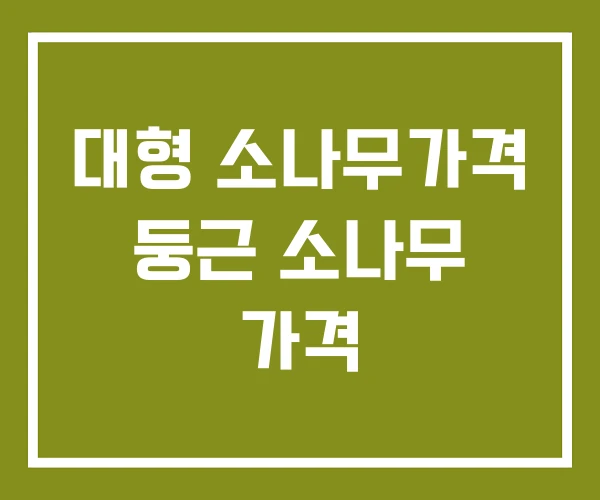 대형 소나무가격 둥근 소나무 가격