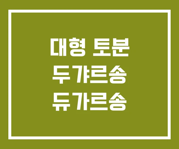 대형 토분 두갸르송 듀가르송