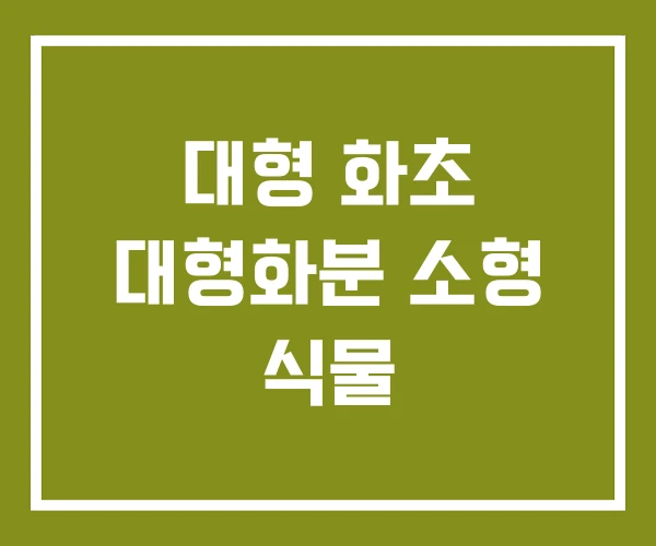 대형 화초 대형화분 소형 식물