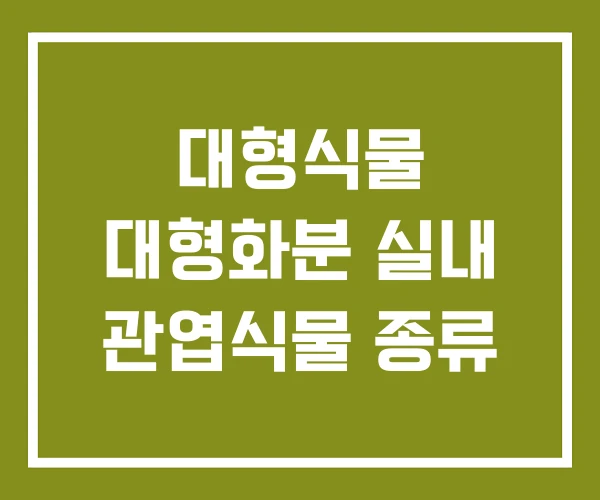 대형식물 대형화분 실내 관엽식물 종류