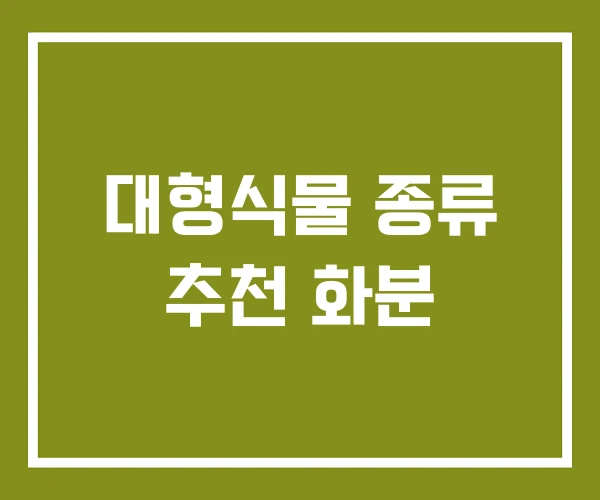 대형식물 종류 추천 화분