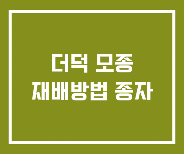 더덕 모종 재배방법 종자