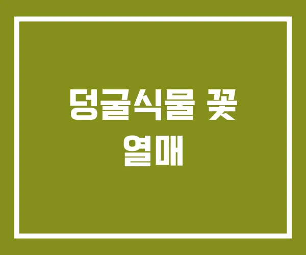 덩굴식물 꽃 열매