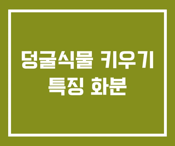 덩굴식물 키우기 특징 화분