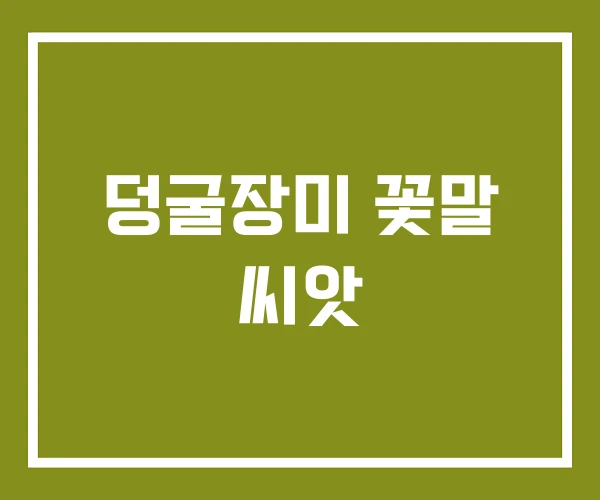 덩굴장미 꽃말 씨앗
