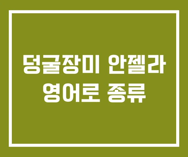 덩굴장미 안젤라 영어로 종류
