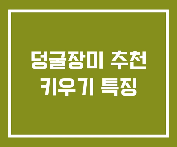 덩굴장미 추천 키우기 특징