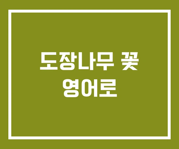 도장나무 꽃 영어로