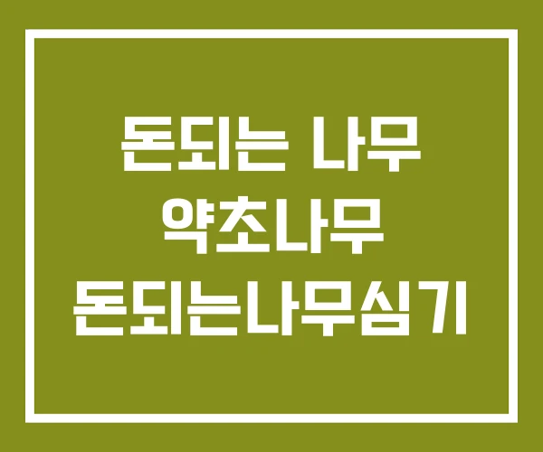 돈되는 나무 약초나무 돈되는나무심기