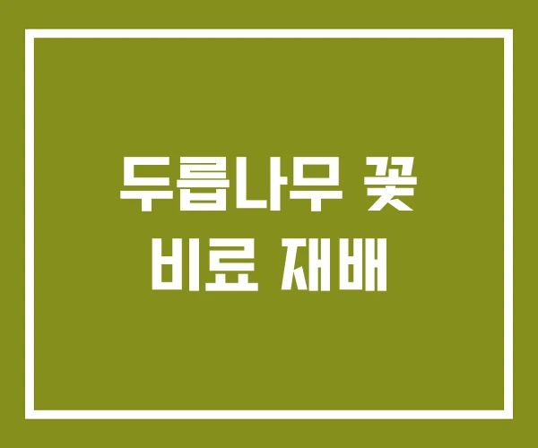 두릅나무 꽃 비료 재배