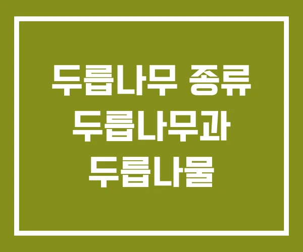 두릅나무 종류 두릅나무과 두릅나물