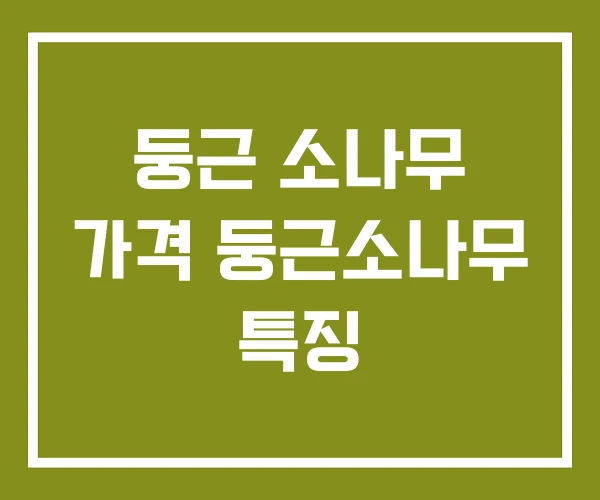 둥근 소나무 가격 둥근소나무 특징