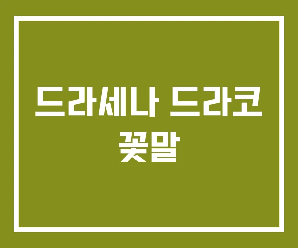 드라세나 드라코 꽃말