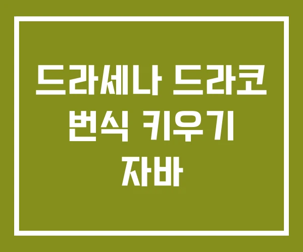 드라세나 드라코 번식 키우기 자바
