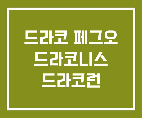 드라코 페그오 드라코니스 드라코런