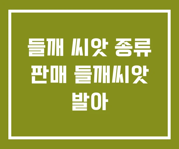들깨 씨앗 종류 판매 들깨씨앗 발아