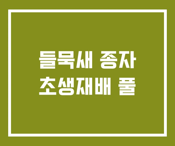 들묵새 종자 초생재배 풀