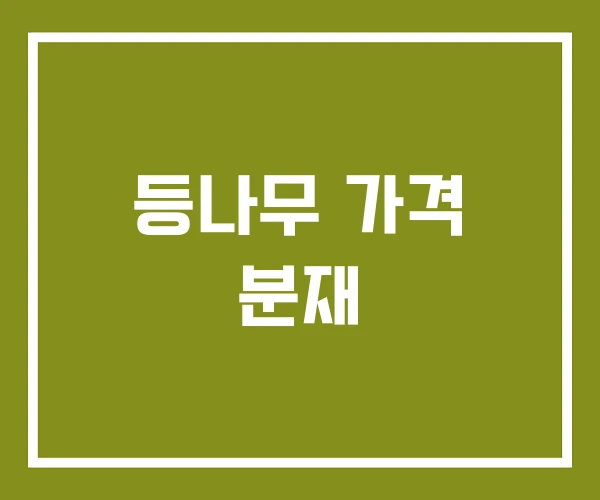 등나무 가격 분재