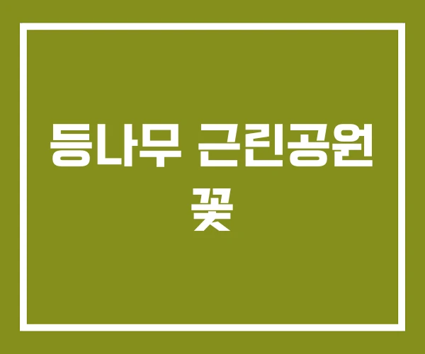 등나무 근린공원 꽃