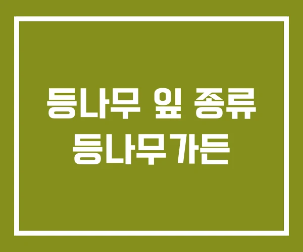 등나무 잎 종류 등나무가든