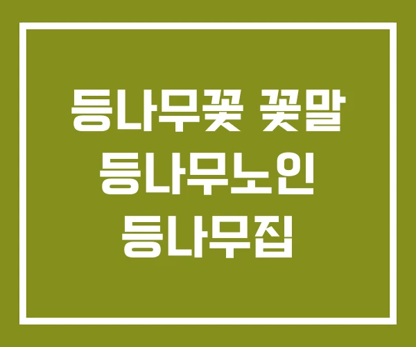 등나무꽃 꽃말 등나무노인 등나무집