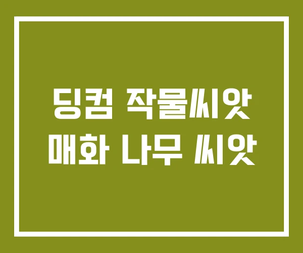 딩컴 작물씨앗 매화 나무 씨앗